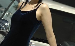 狼群视频在线高清免费观看动漫